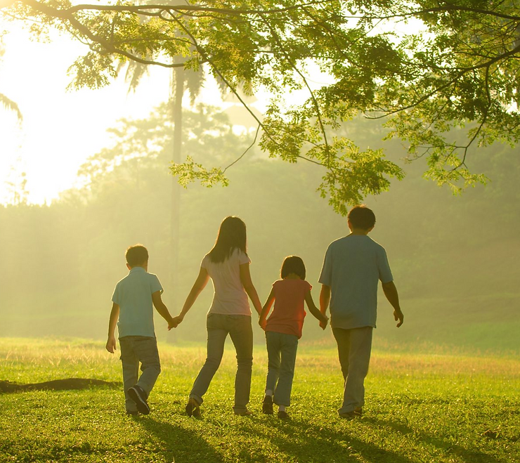 Family lawyer in Bankstown speaking with client about divorce matter and child custody