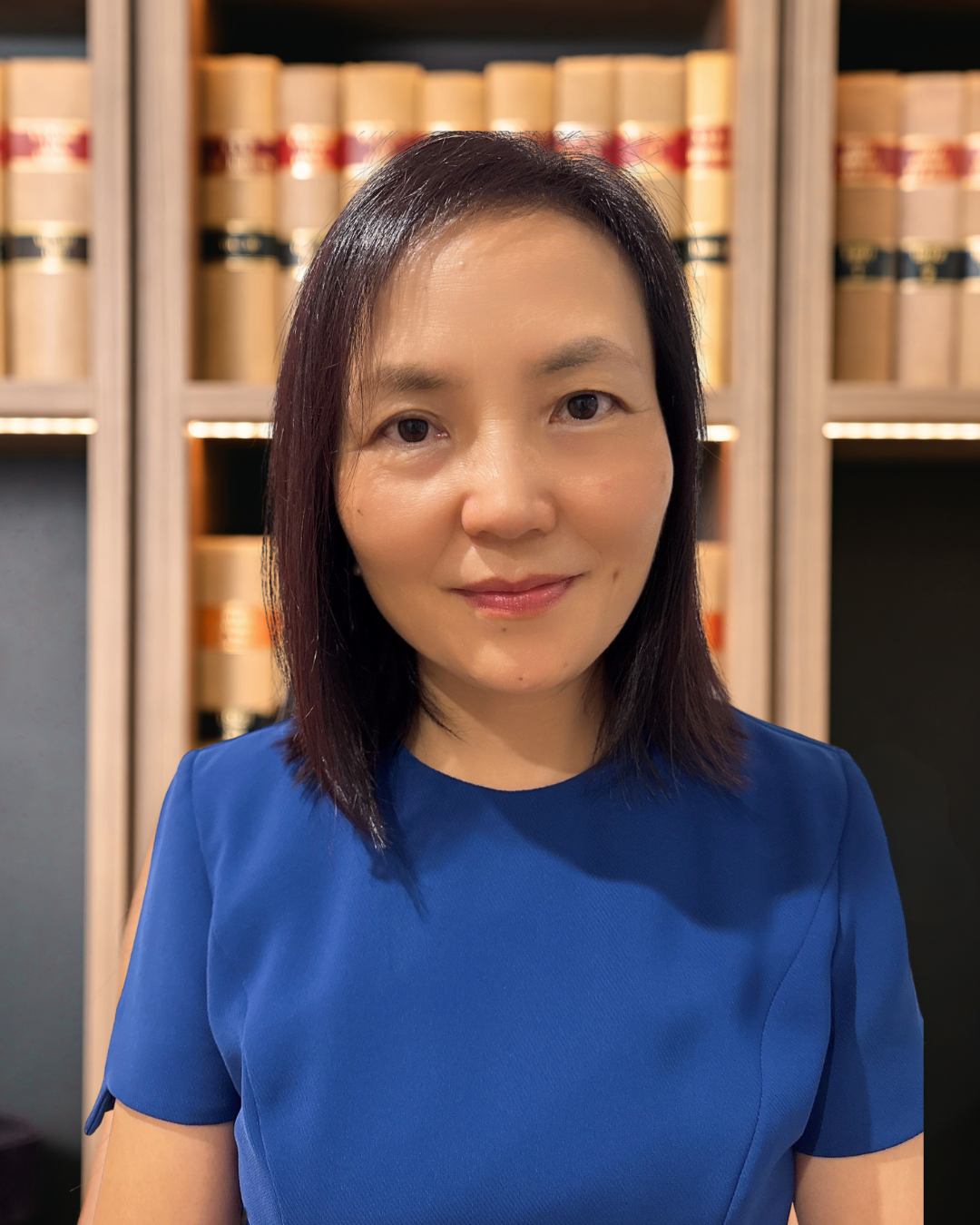 Family and Divorce Lawyer in Bankstown and Bondi Junction | Gramelis Attorneys